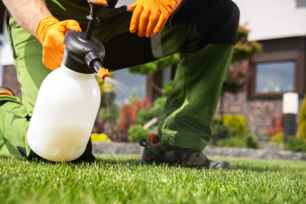 Best Pest Prevention Services  in Momence, IL