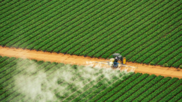 Best Mosquito Control Services  in Momence, IL