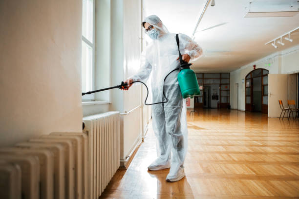 Best Best Pest Control Companies  in Momence, IL