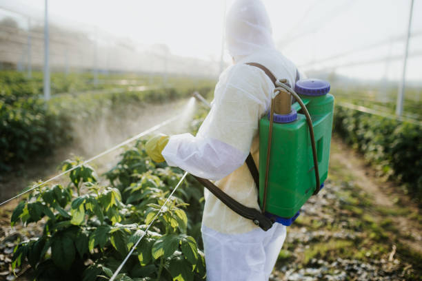Professional Pest Control in Momence, IL